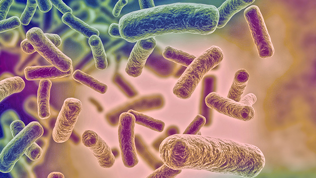 The Gut Microbiome and Cancer Treatment