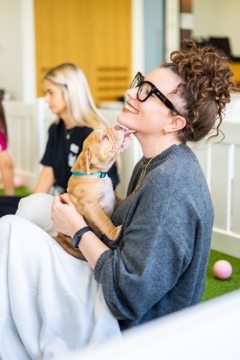 UK Mental Health Allies partnered with Paws in Work