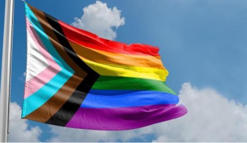 Pride Alliance Waving Flag