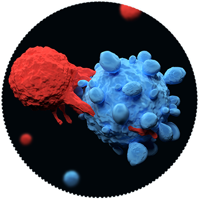 CAR T cells and blood cancer