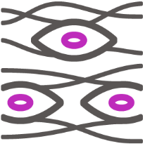 Fibrotische Erkrankungen