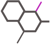 RNA-Oligonukleotide  