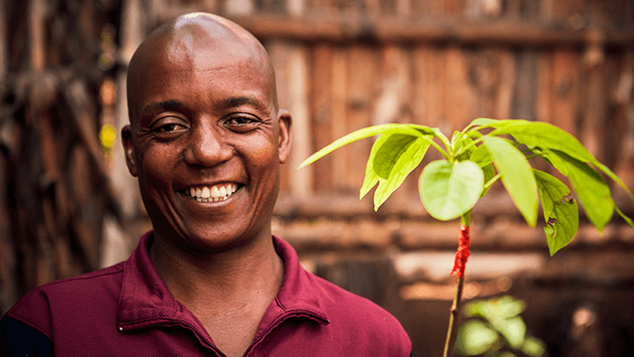 Nasce LA FORESTA BMS, un’iniziativa in collaborazione con Treedom per piantare alberi nel mondo.  