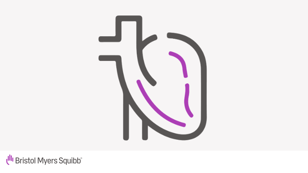 World Heart Day - BMS