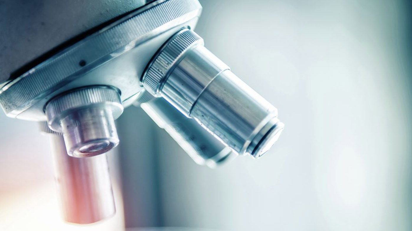 El futuro de la investigación en inmunociencias es prometedor