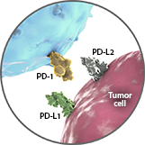 tumors picture