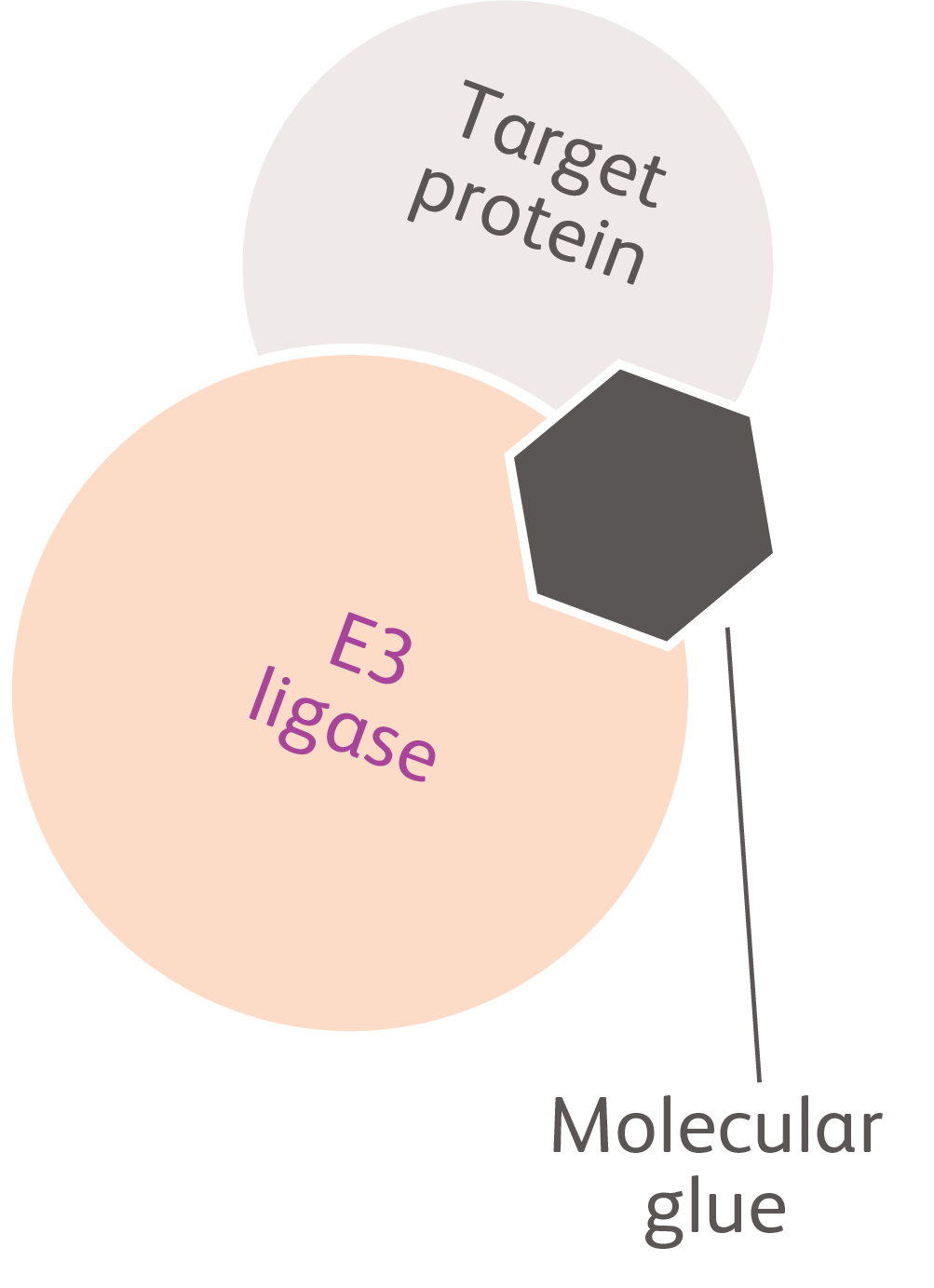 Molecular glues icon
