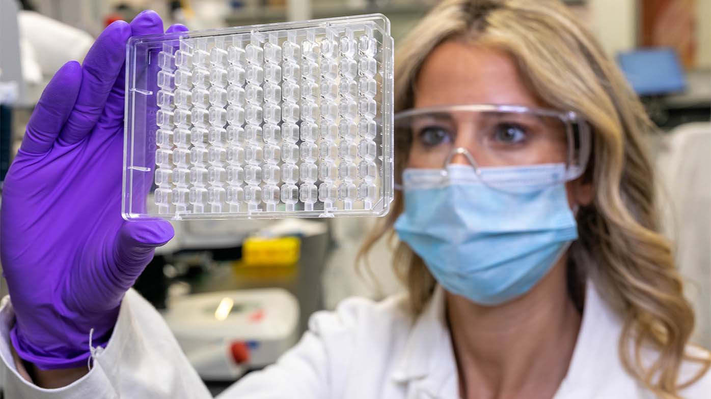 Research team member and Associate Scientist Christina Cuttitta examines a crystallization plate.