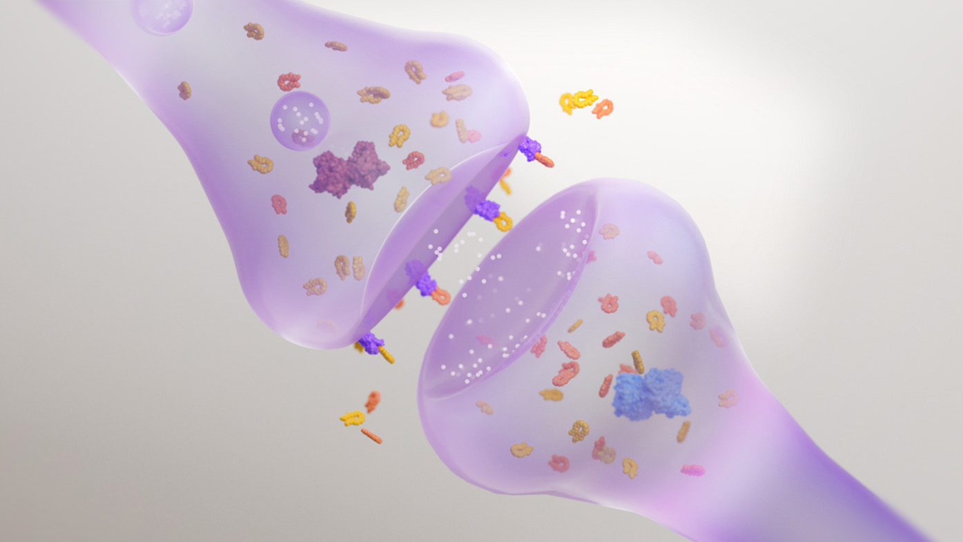 Endocannabinoid signaling and the role of FAAH and MAGL on ...