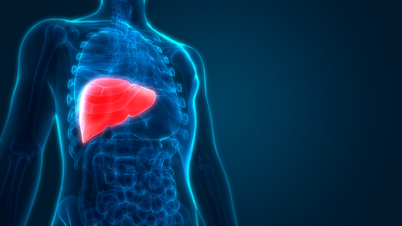 Working Together to Advance Research in Liver Disease