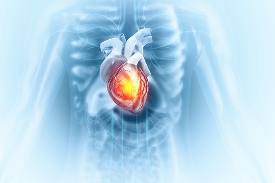 Cardiology