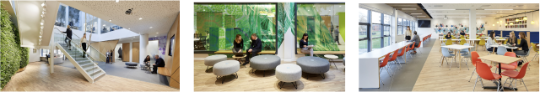 Our Site at Chester - Bristol Myers Squibb