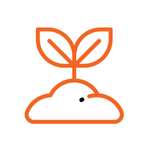 Development Programs