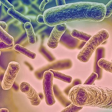 Microbioma intestinal