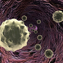  Biologics Opportunities