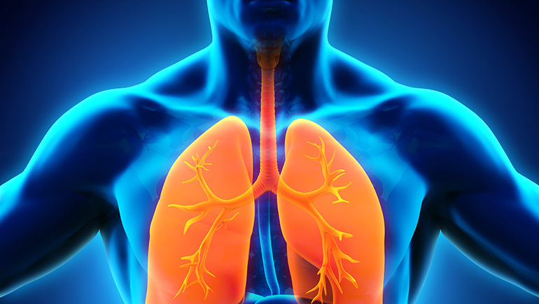 Como Ganhar Mais Dinheiro No Kawaii