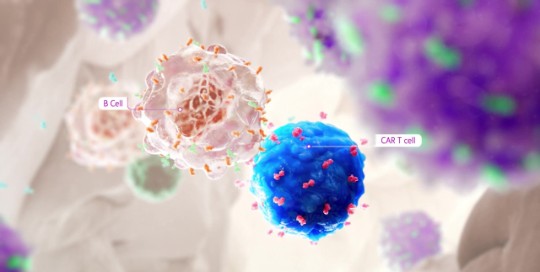 Taking ACTioN to advance CAR T cell therapy for autoimmune diseases ...