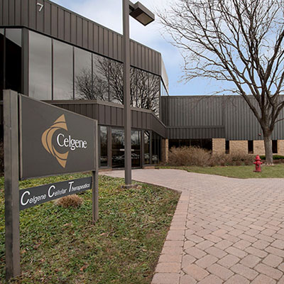 CELGENE AND ANTHROGENSIS MERGE CELGENE AND ANTHROGENSIS MERGE