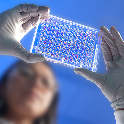 BRISTOL-MYERS SQUIBB ACQUIRES MEDAREX BRISTOL-MYERS SQUIBB ACQUIRES MEDAREX