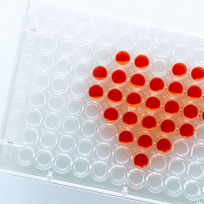 Myokardia Acquisition