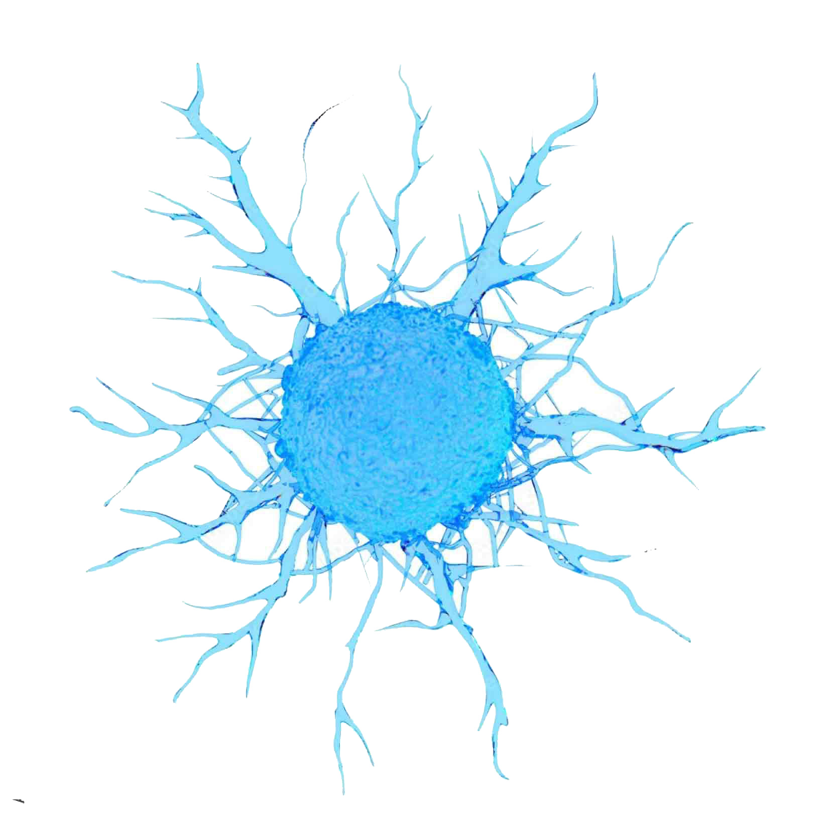 Bristol Myers Squibb and Eisai announce global strategic collaboration for Eisai’s antibody drug conjugate. Bristol Myers Squibb and Eisai announce global strategic collaboration for Eisai’s antibody drug conjugate.